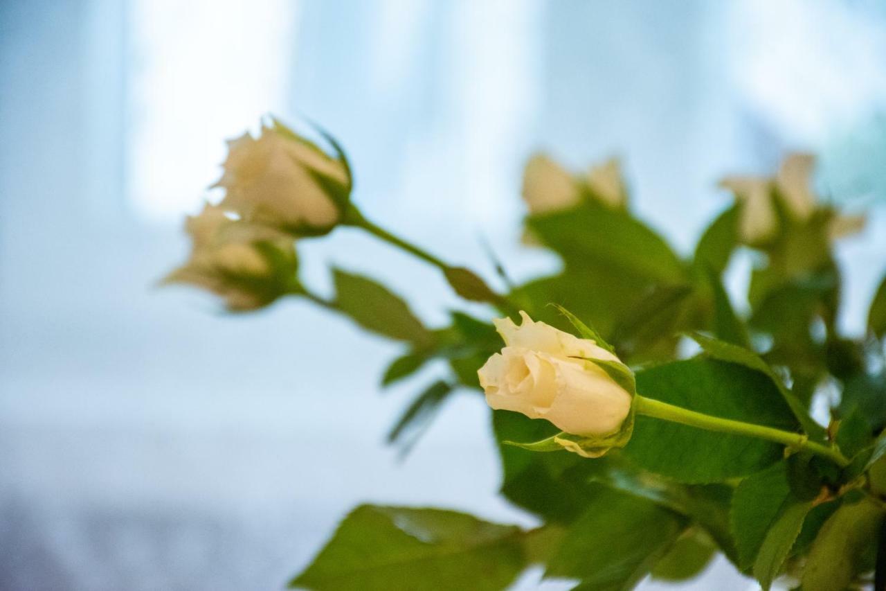 Residenza Romantica ริวาเดลการ์ดา ภายนอก รูปภาพ